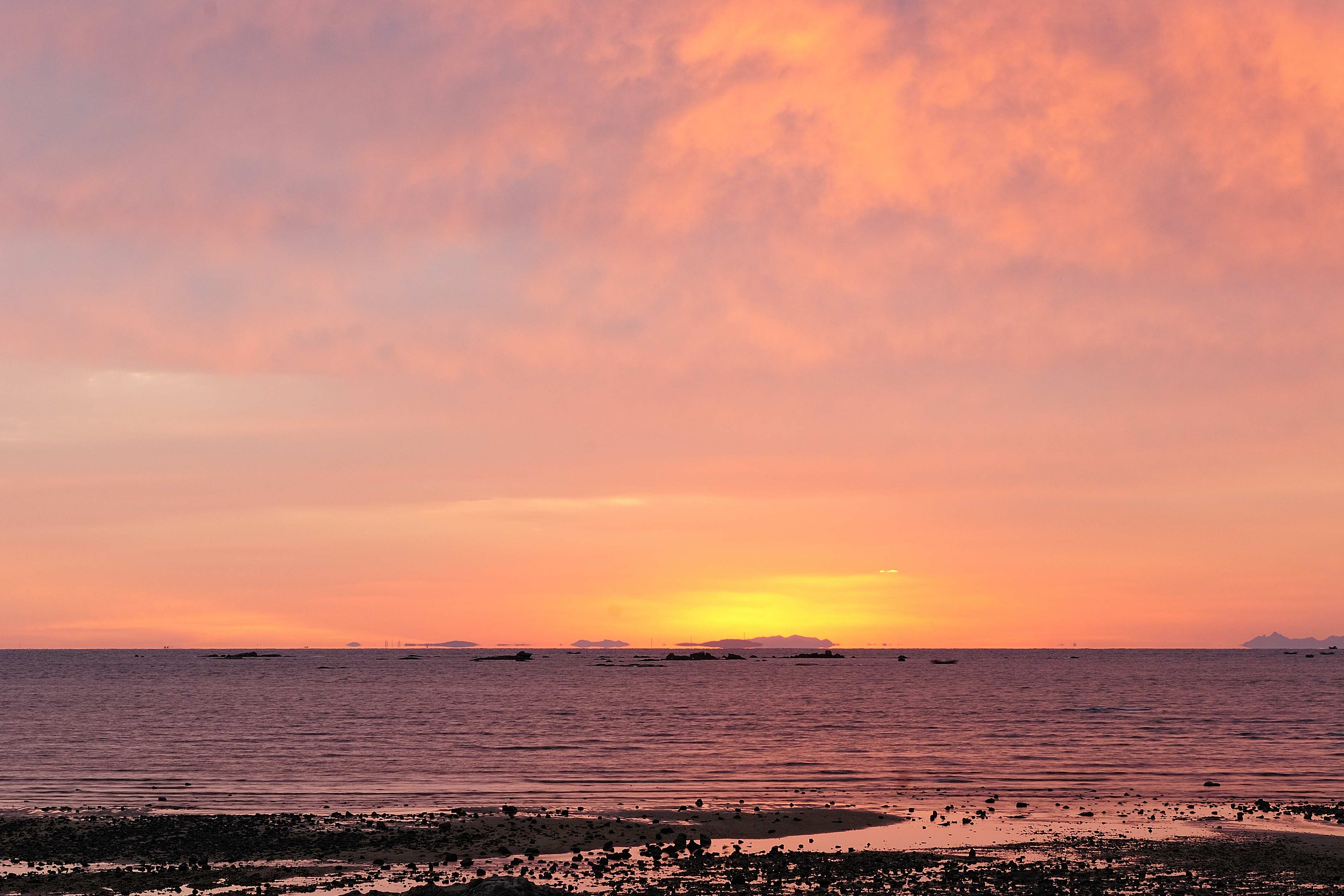 2025年04月凯思博观点