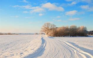 2025年07月凯思博观点