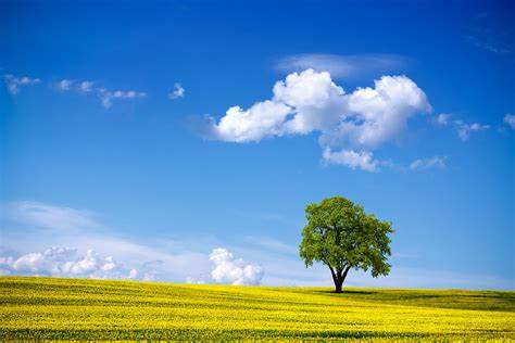 Keywise Market Comment (Jun 2025)